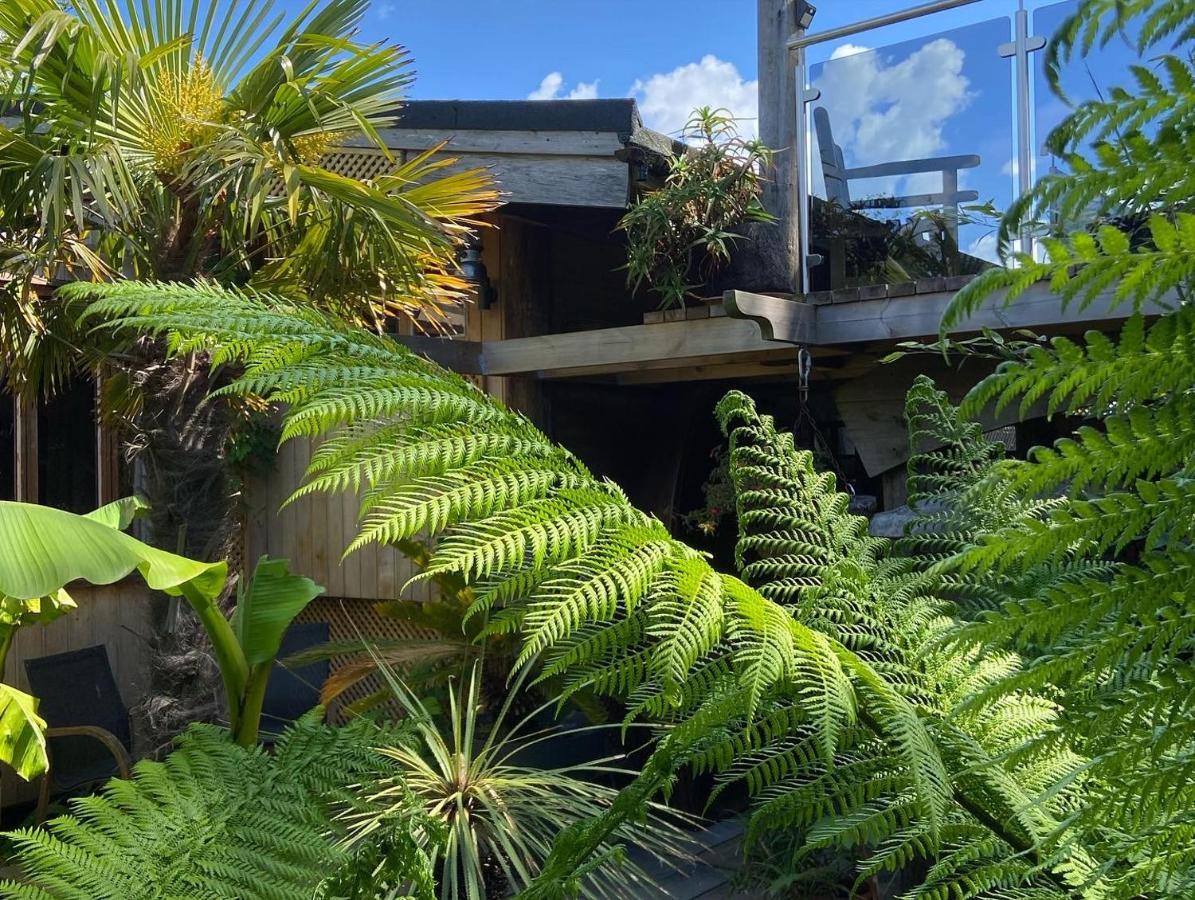 Jungle Cabin Martin Mill Extérieur photo