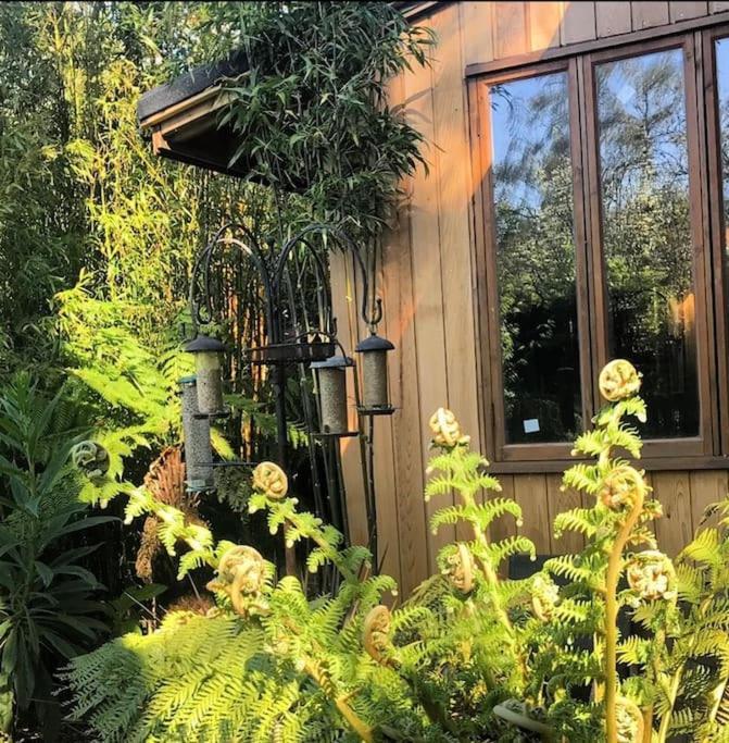 Jungle Cabin Martin Mill Extérieur photo