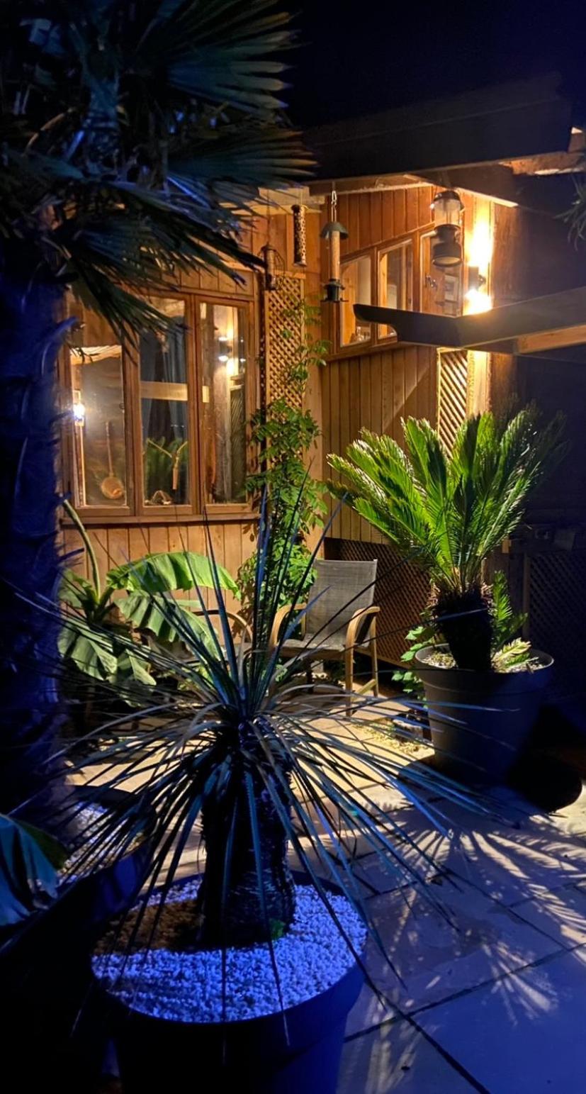 Jungle Cabin Martin Mill Extérieur photo